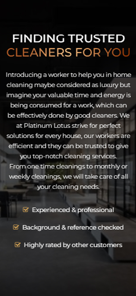 Text-focused mobile web layout explaining Platinum Lotus professional cleaning philosophy