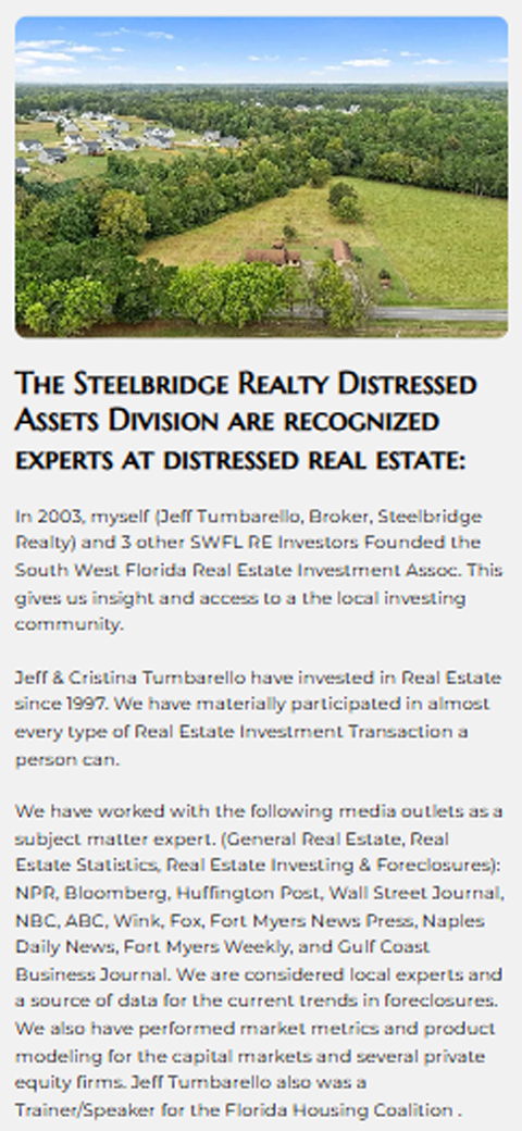 Text-focused mobile webpage layout for Steelbridge Realty Distressed Assets Division